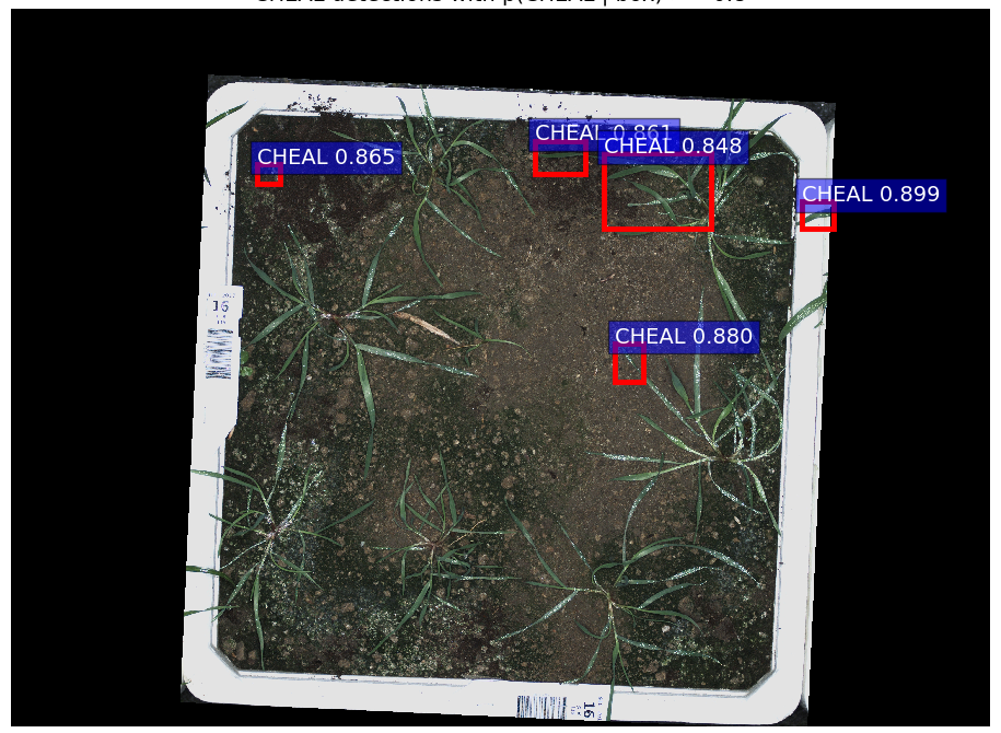 Figure 4. Detections for an image from the same dataset but of a different species of weed not seen during training.