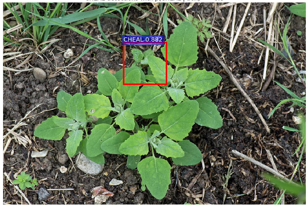 Figure 3. Detections for an image from the internet with larger Fat-hen weeds.