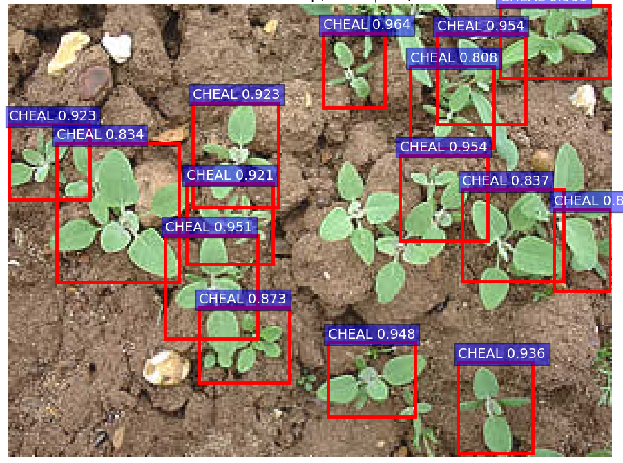 Figure 2. Detections for an image from the internet which has similar appearance to that of training data.
